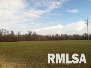 12164 Strawberry Road Carbondale, IL 62901 - Photo 4 of 4