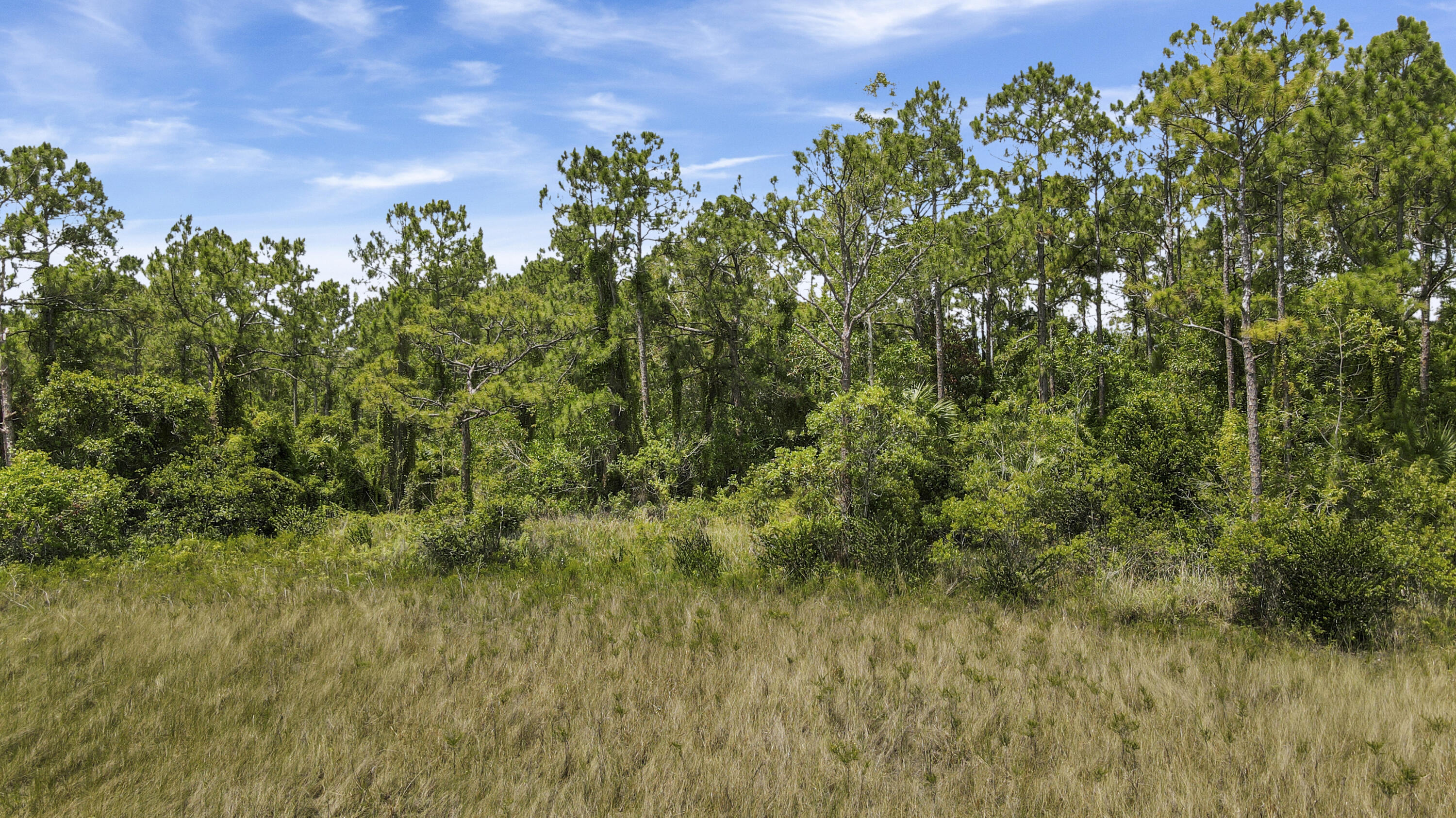 3004 Southeast Ranch Acres Circle Jupiter, FL 33478 - Photo 7 of 15 Mid lot looking south