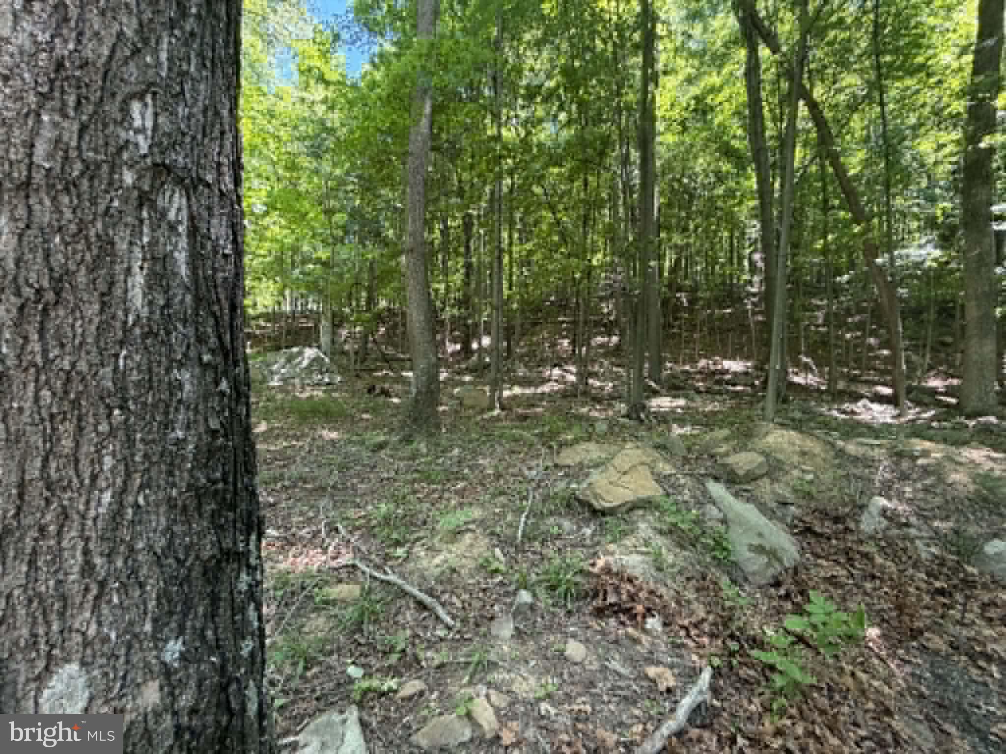 1515 Barnum Road Keyser, WV 26726 - Photo 21 of 64