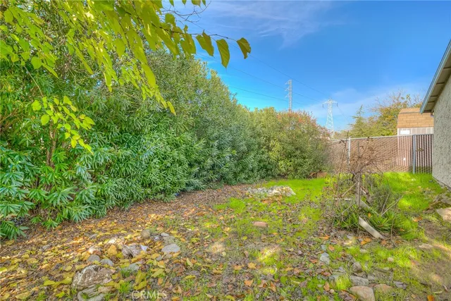 a view of a backyard with large trees and wooden fence