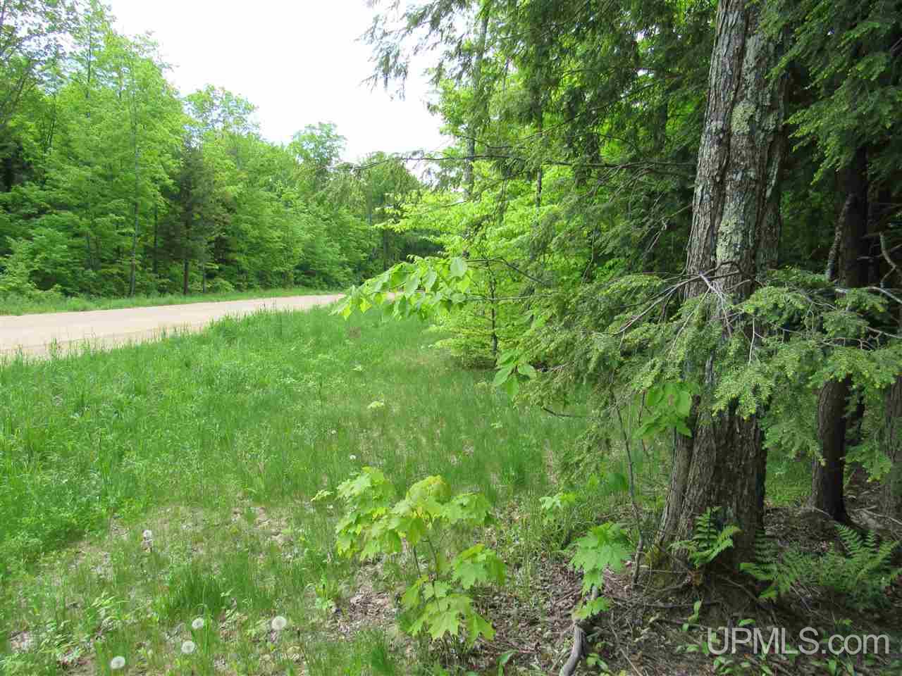 Tbd--x Crossover Road Munising, MI 49862 - Photo 3 of 23