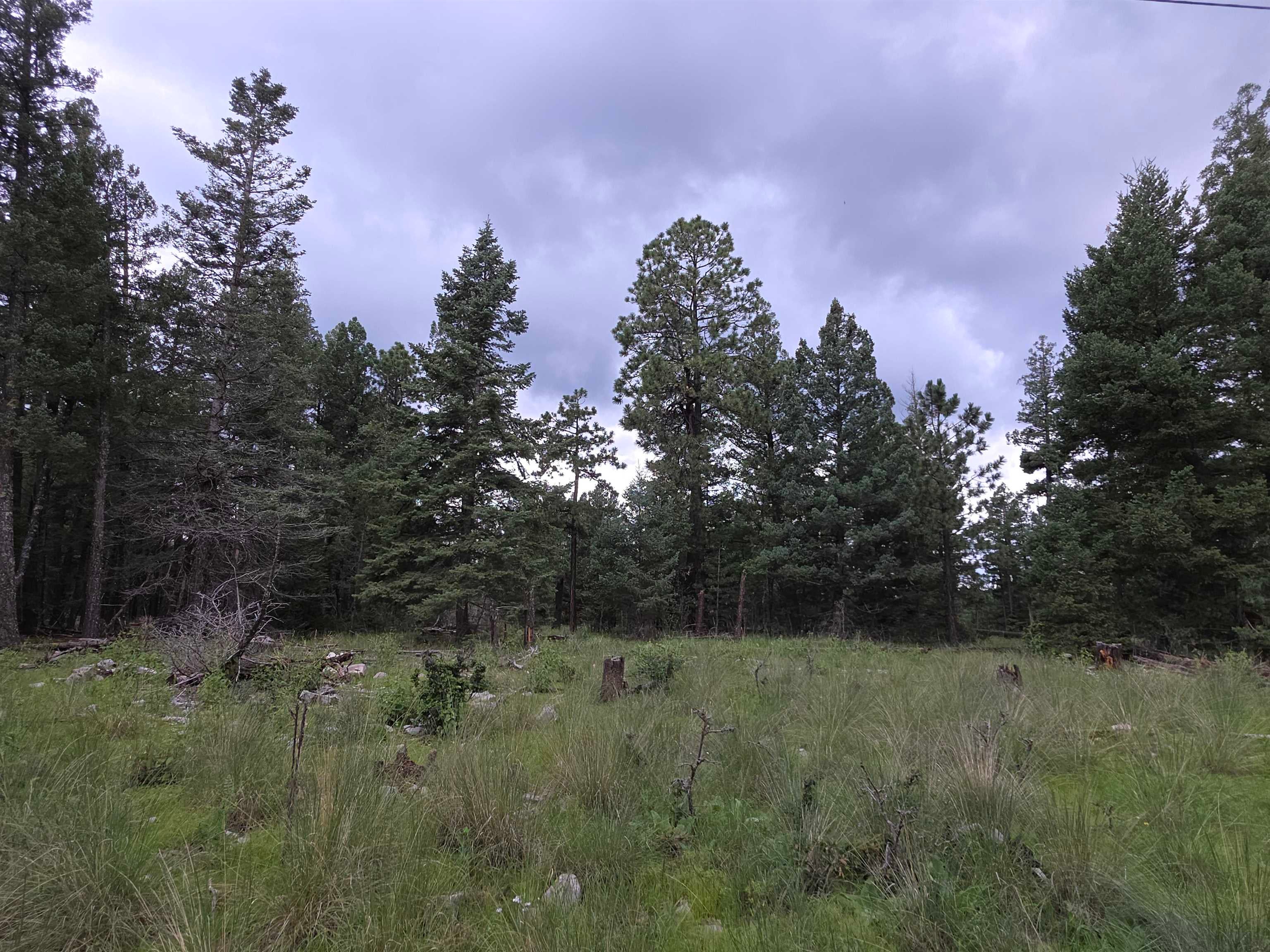 Lot 58 Big Dipper Road Mayhill, NM 88339 - Photo 46 of 50 Gallery Image 46