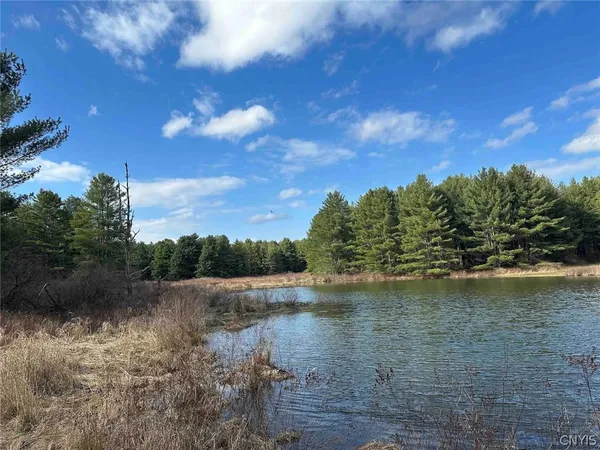 $389,900 | 219 Martin Hill Road, Colesville, NY 13787