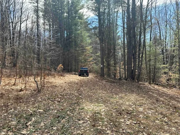 $389,900 | 219 Martin Hill Road, Colesville, NY 13787