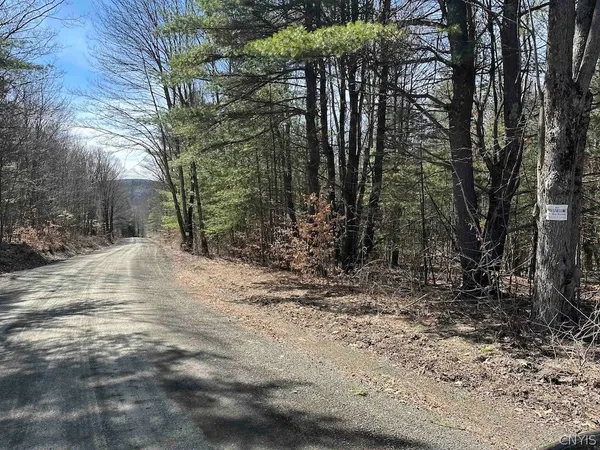 $389,900 | 219 Martin Hill Road, Colesville, NY 13787