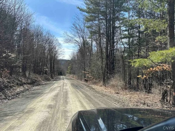 $389,900 | 219 Martin Hill Road, Colesville, NY 13787