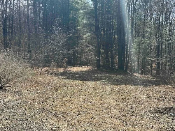 $389,900 | 219 Martin Hill Road, Colesville, NY 13787