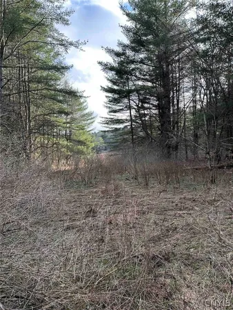 $389,900 | 219 Martin Hill Road, Colesville, NY 13787