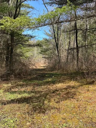 $389,900 | 219 Martin Hill Road, Colesville, NY 13787