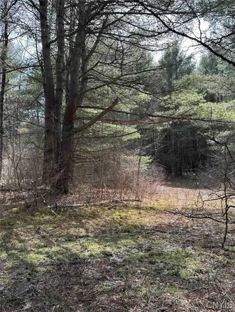 $389,900 | 219 Martin Hill Road, Colesville, NY 13787