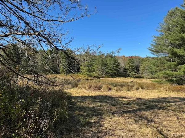 $389,900 | 219 Martin Hill Road, Colesville, NY 13787