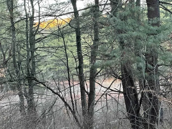 $389,900 | 219 Martin Hill Road, Colesville, NY 13787