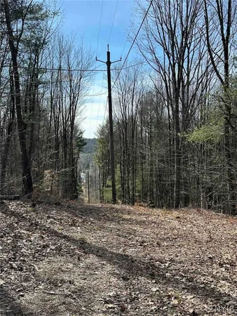 $389,900 | 219 Martin Hill Road, Colesville, NY 13787