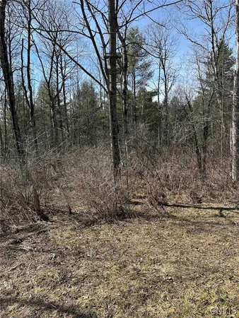 $389,900 | 219 Martin Hill Road, Colesville, NY 13787