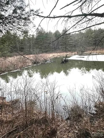 $389,900 | 219 Martin Hill Road, Colesville, NY 13787