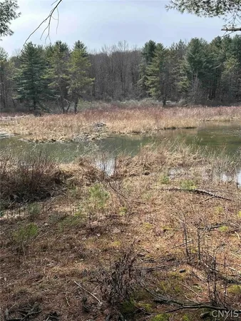 $389,900 | 219 Martin Hill Road, Colesville, NY 13787