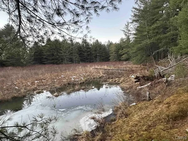 $389,900 | 219 Martin Hill Road, Colesville, NY 13787