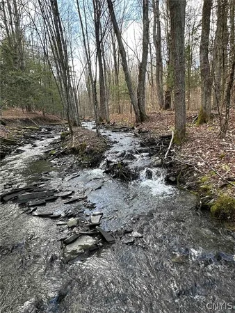 $389,900 | 219 Martin Hill Road, Colesville, NY 13787