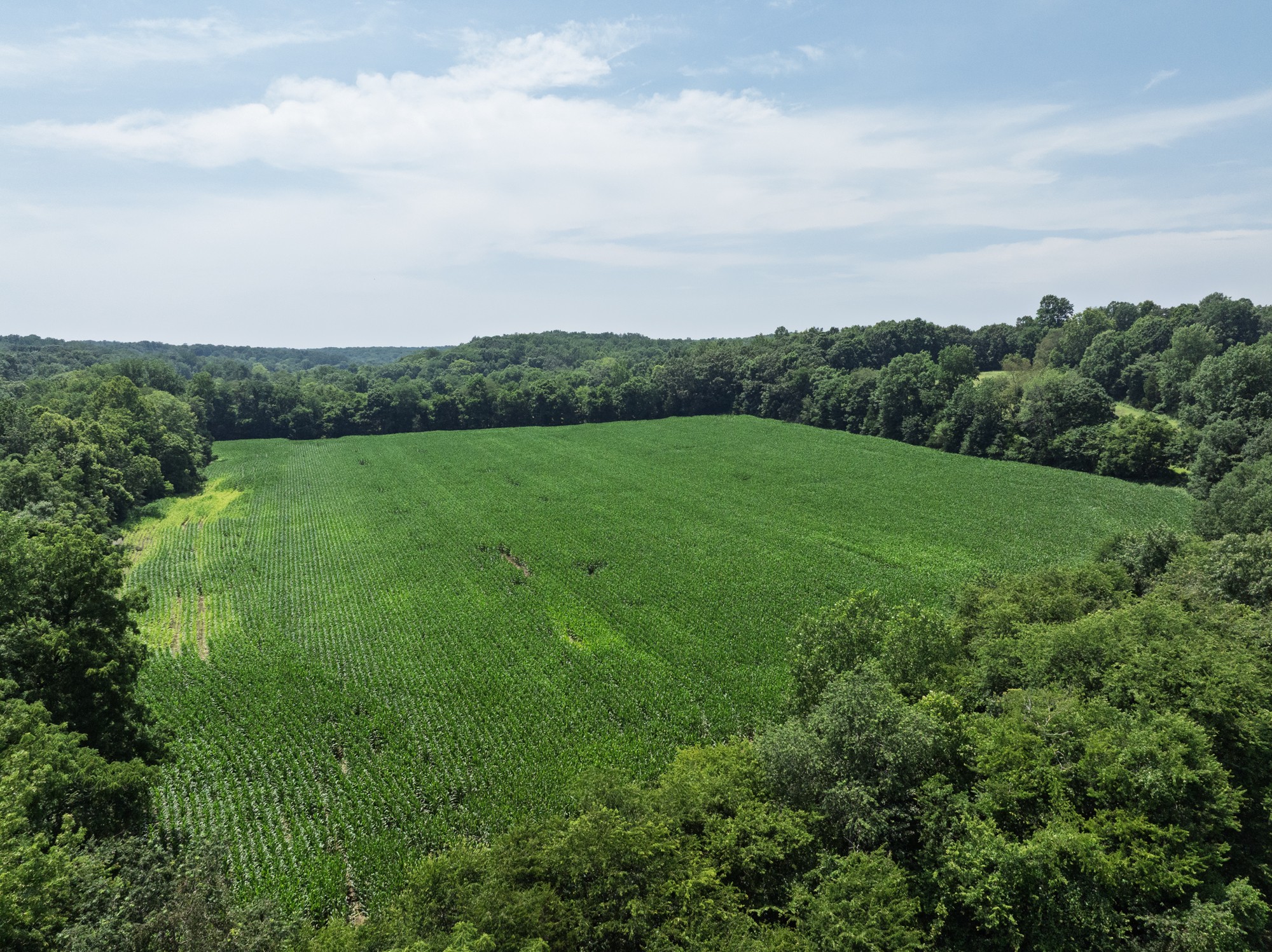 4776 State Highway 48 Cumberland Furnace, TN 37051 - Photo 2 of 12 a view of field with tall trees