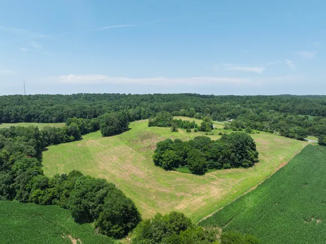 a view of a garden with a building in the background