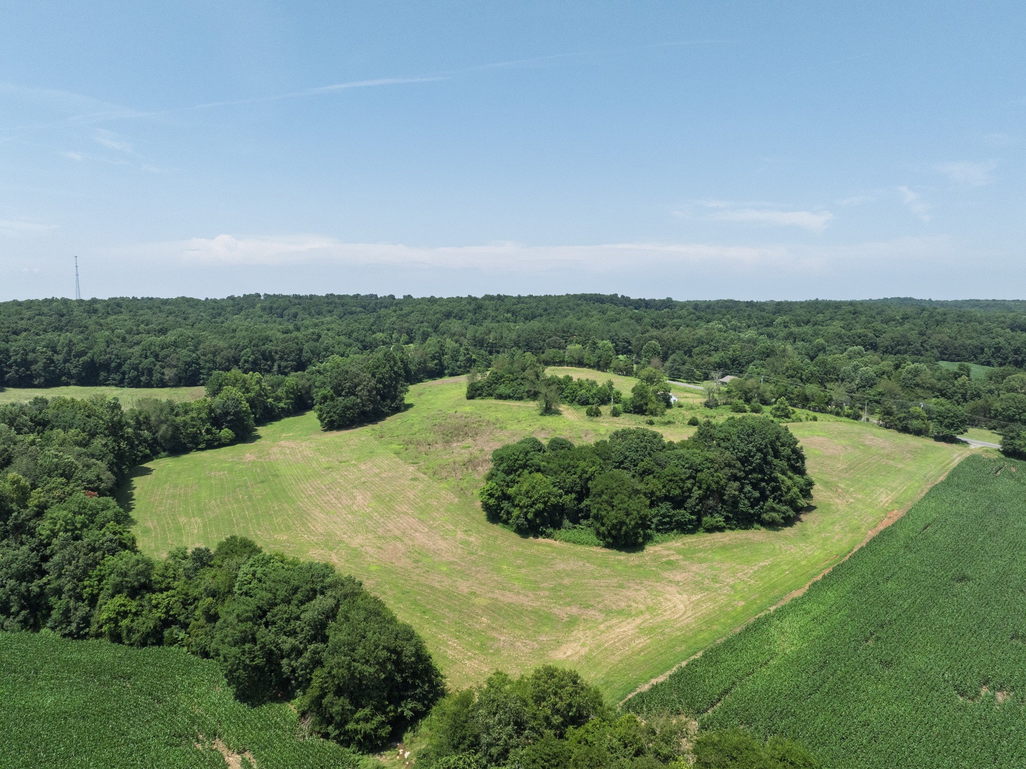 4776 State Highway 48 Cumberland Furnace, TN 37051 - Photo 3 of 12 a view of a garden with a building in the background