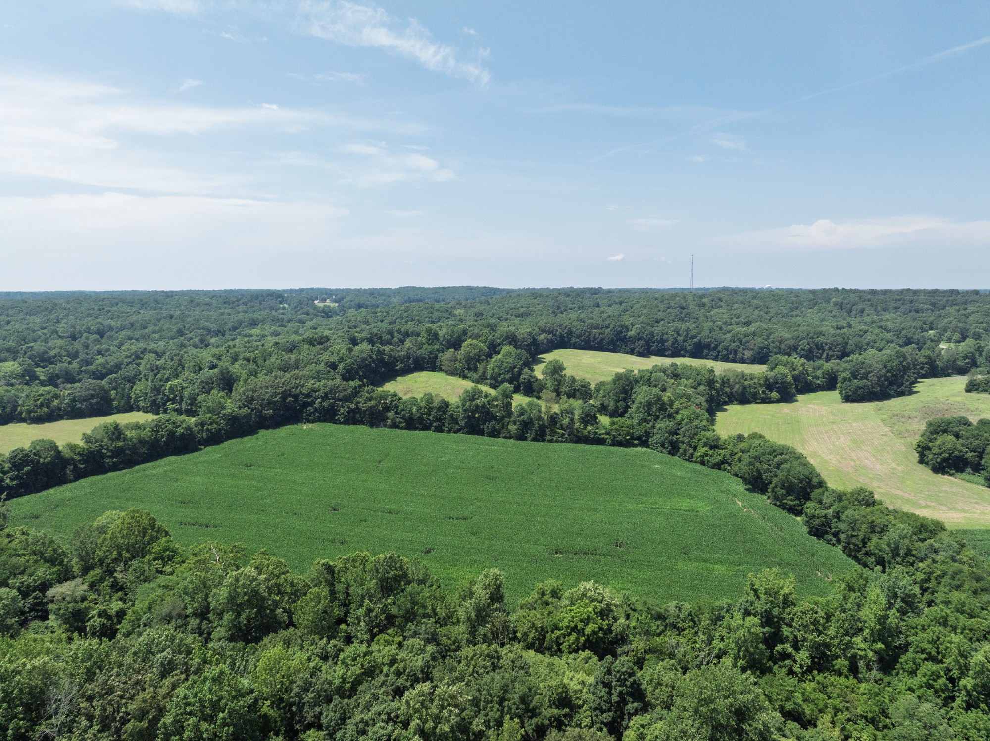 4776 State Highway 48 Cumberland Furnace, TN 37051 - Photo 4 of 12 a view of a grassy field
