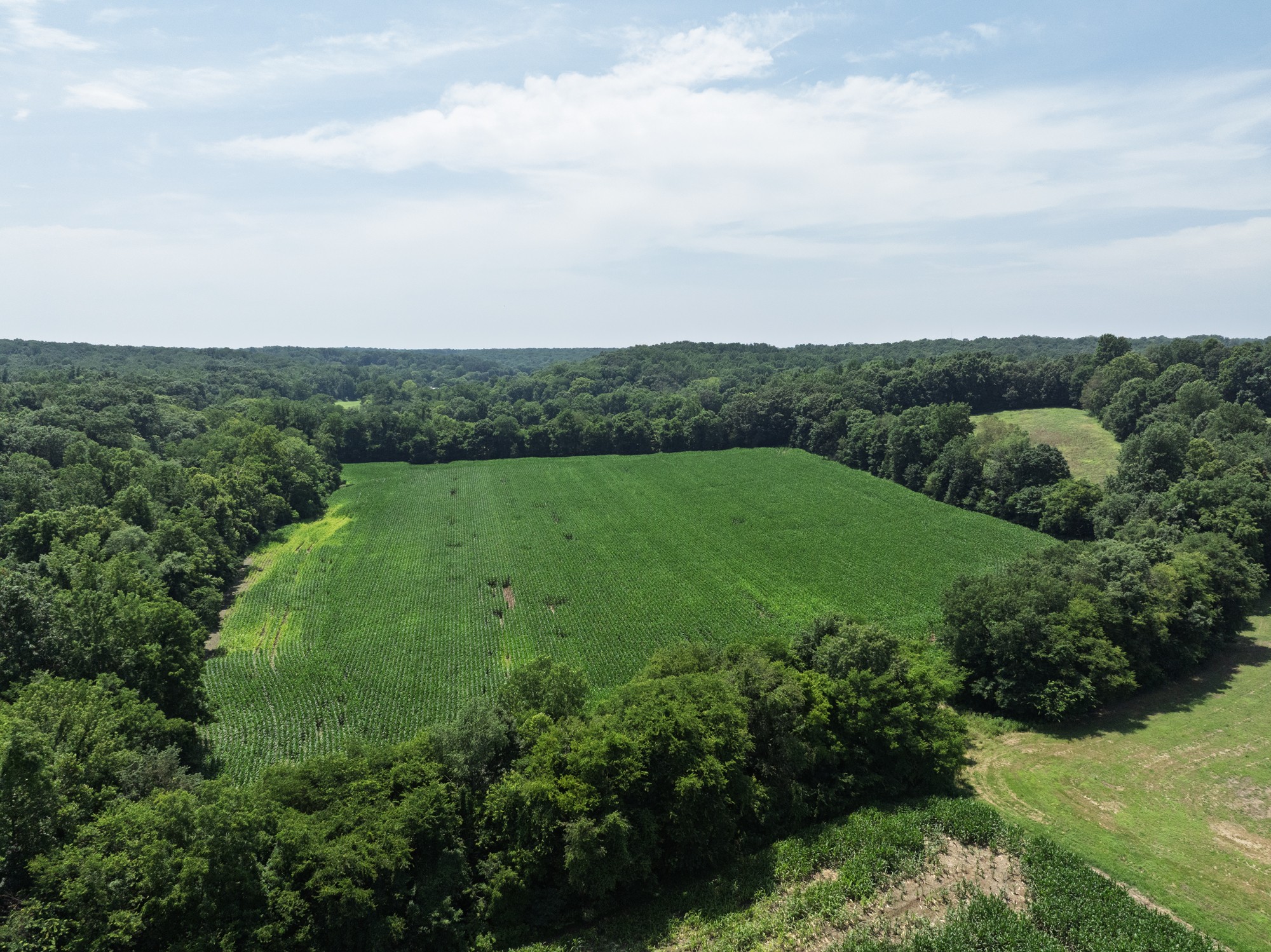 4776 State Highway 48 Cumberland Furnace, TN 37051 - Photo 5 of 12 a view of a garden with a houses