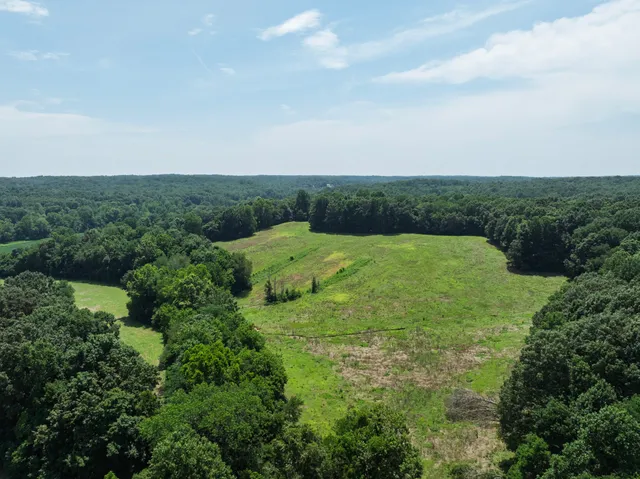 a view of a big yard with lots of green space