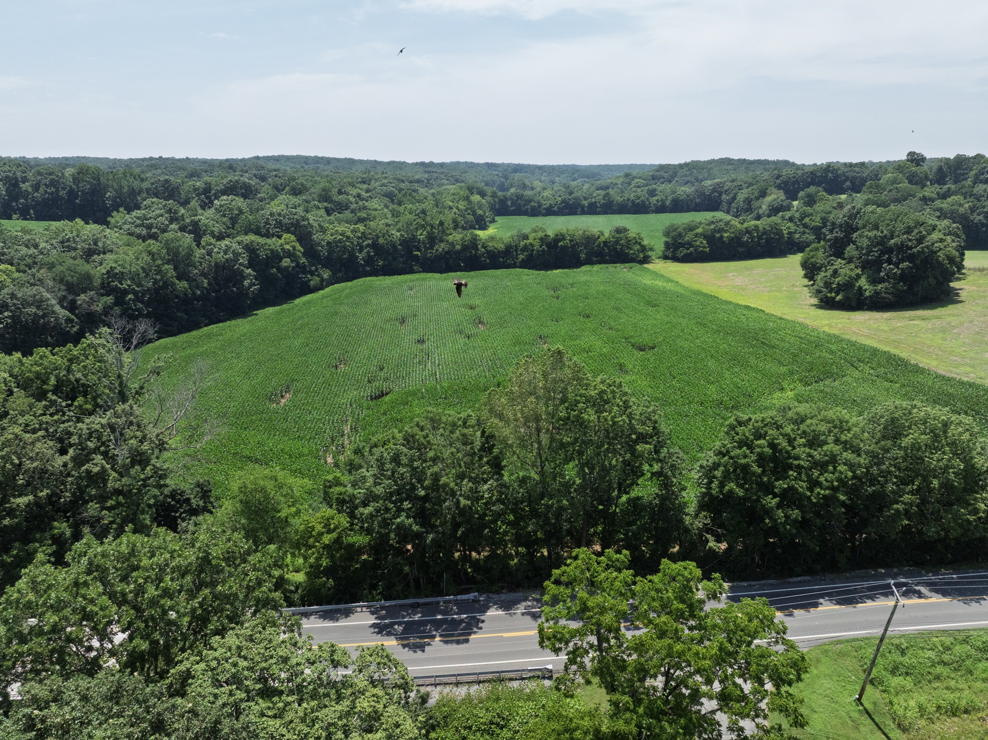 4776 State Highway 48 Cumberland Furnace, TN 37051 - Photo 10 of 12 a view of an outdoor space and a yard