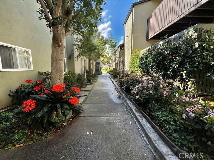 4812 Hollow Corner Road, Unit 151 Culver City, CA 90230 - Photo 12 of 14 a view of a flower in a garden
