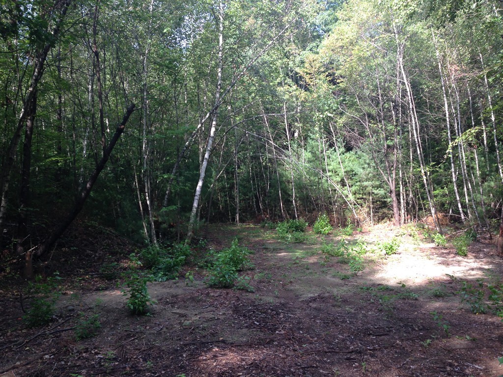 98 Mixter Road Holden, MA 01520 - Photo 2 of 6 Gallery Image 2