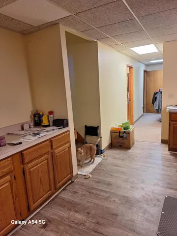 $449,000 | 116 West McKay Street, Saline, MI 48176