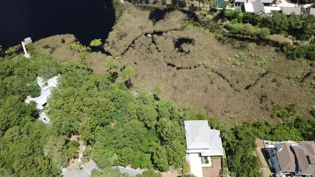 an aerial view of a house with a yard and large tree