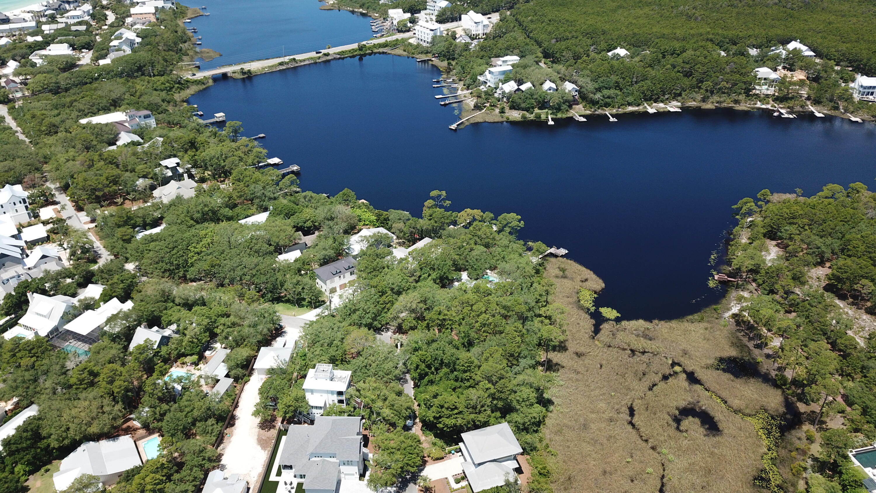 Lot 2 Cove Creek Ln Inlet Beach Inlet Beach, FL 32461 - Photo 7 of 23 view of a bunch of flowers