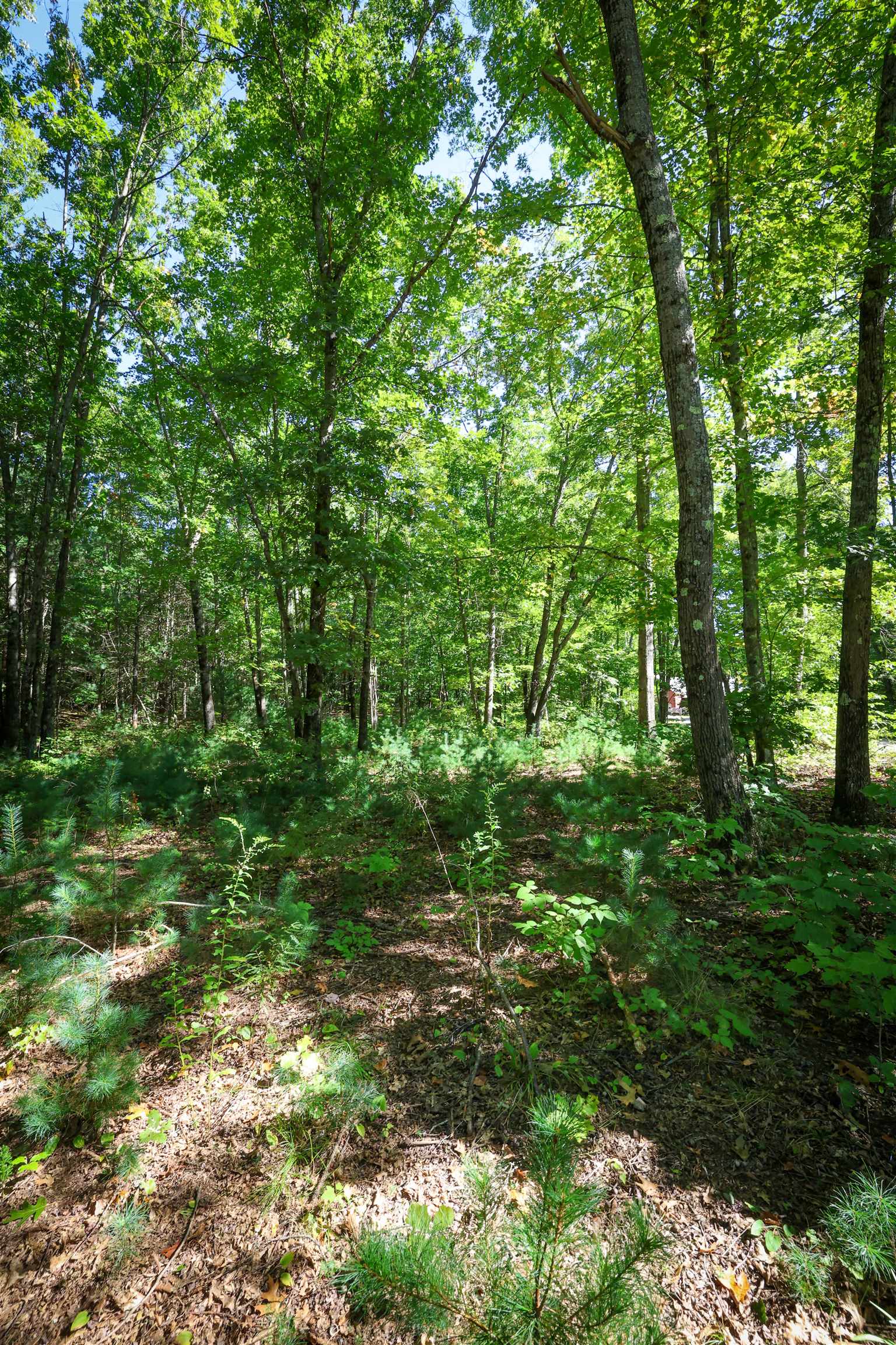 0 Garvins Falls Road Concord, NH 03301 - Photo 2 of 9 Gallery Image 2