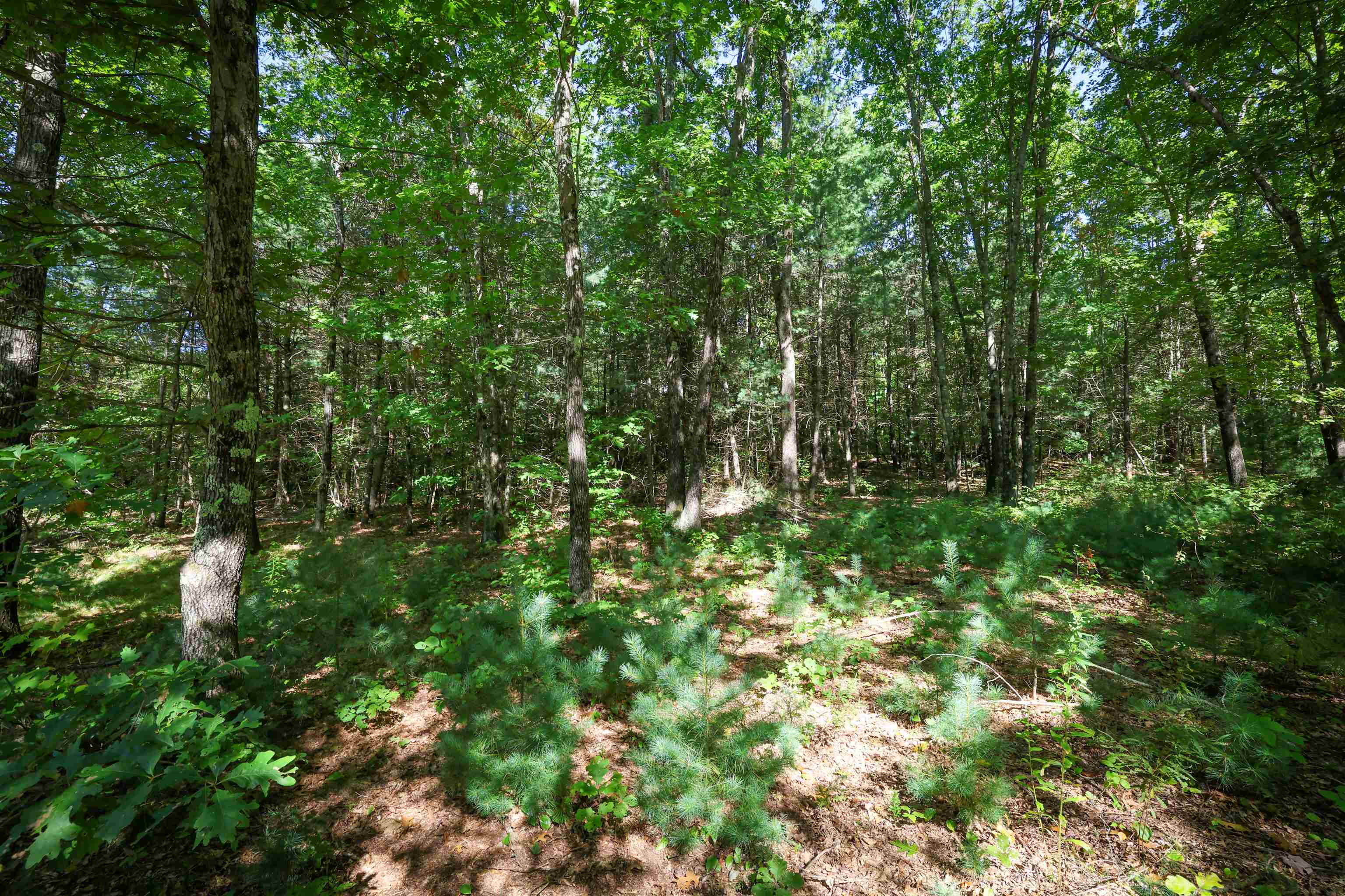 0 Garvins Falls Road Concord, NH 03301 - Photo 3 of 9 Gallery Image 3