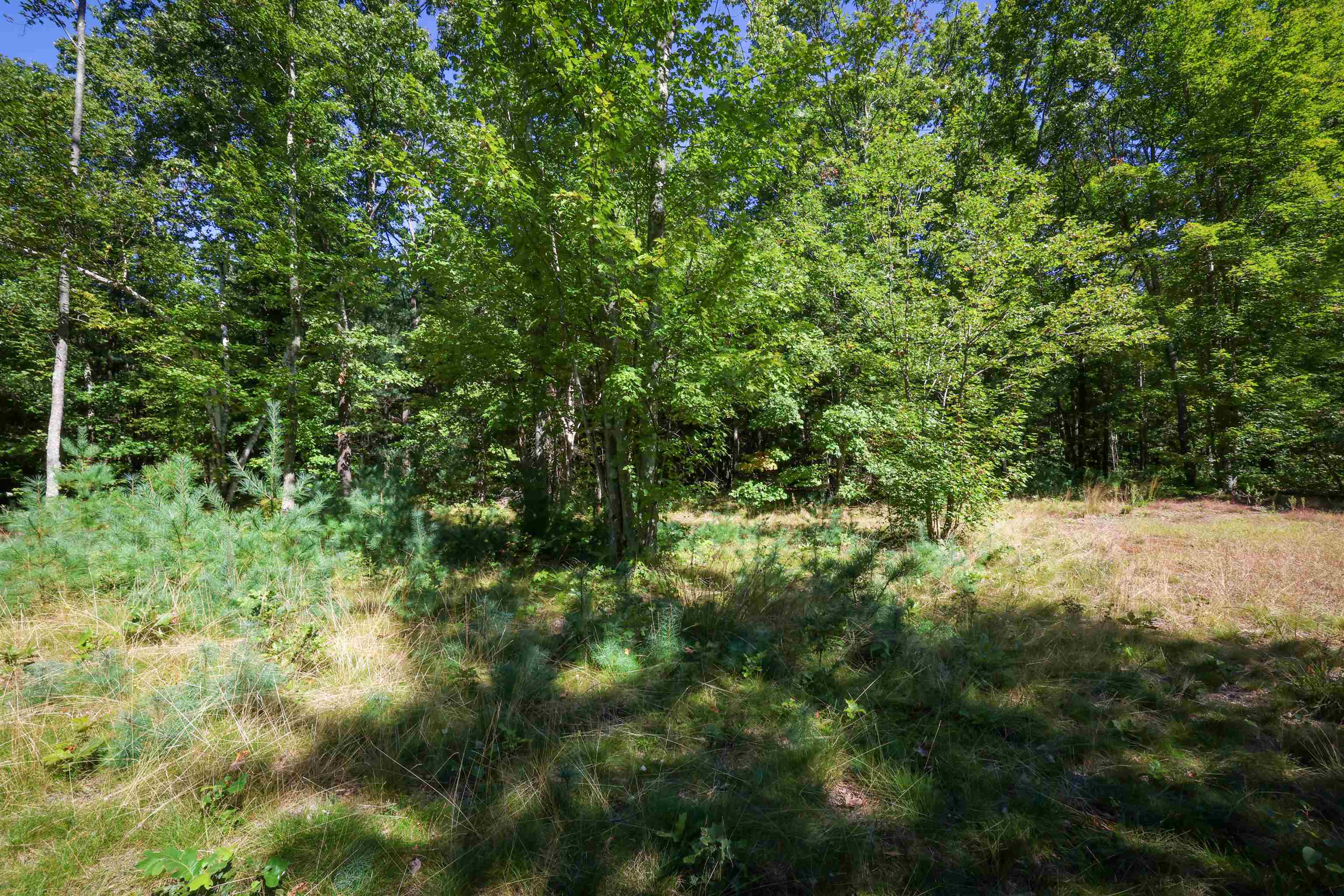 0 Garvins Falls Road Concord, NH 03301 - Photo 4 of 9 Gallery Image 4