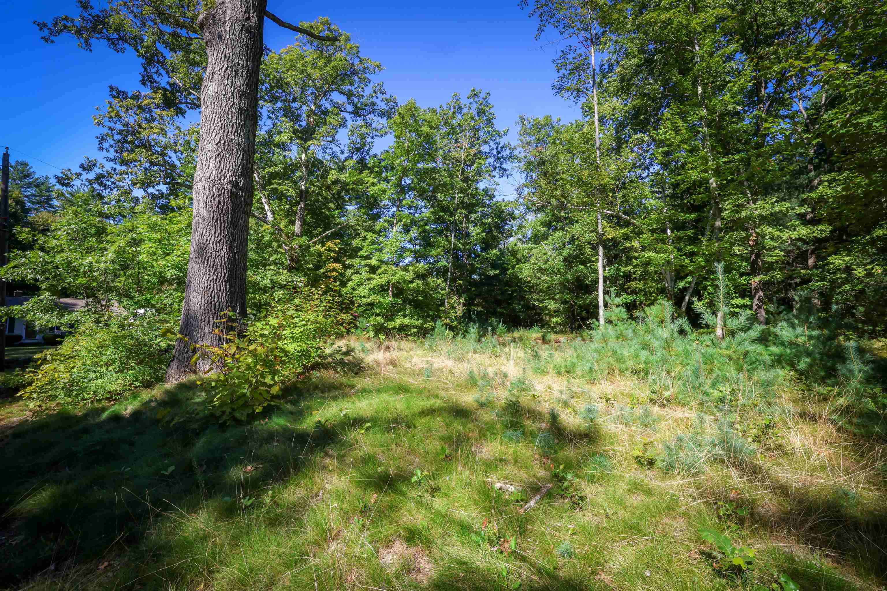 0 Garvins Falls Road Concord, NH 03301 - Photo 5 of 9 Gallery Image 5