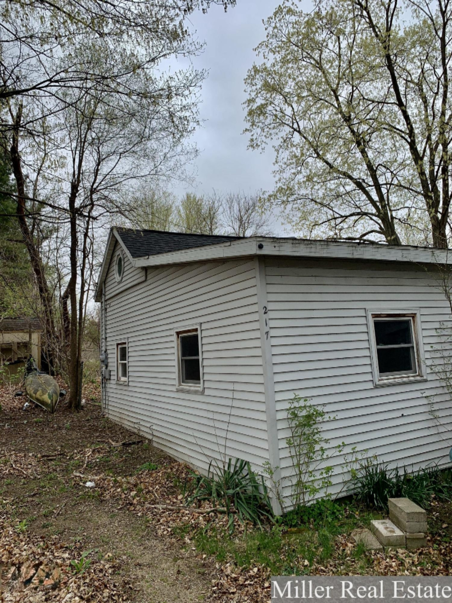217 Reed Street Nashville, MI 49073 - Photo 3 of 15 Photo Apr 15, 13 38 28