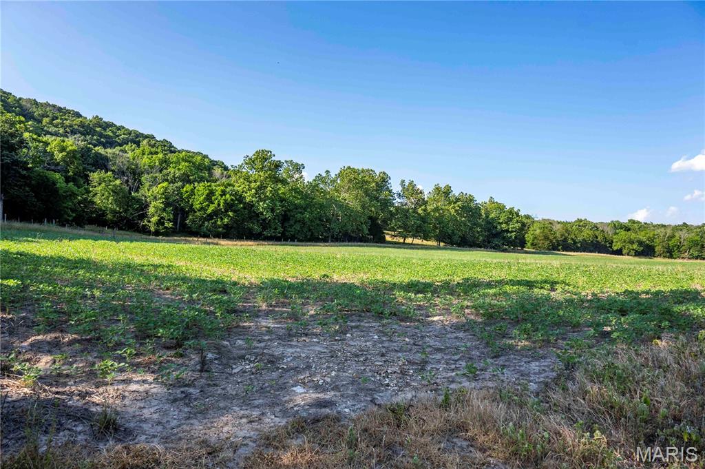 161 Van Booven Lane Hermann, MO 65041 - Photo 57 of 97