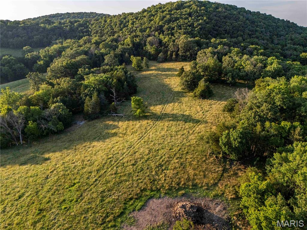 161 Van Booven Lane Hermann, MO 65041 - Photo 59 of 97