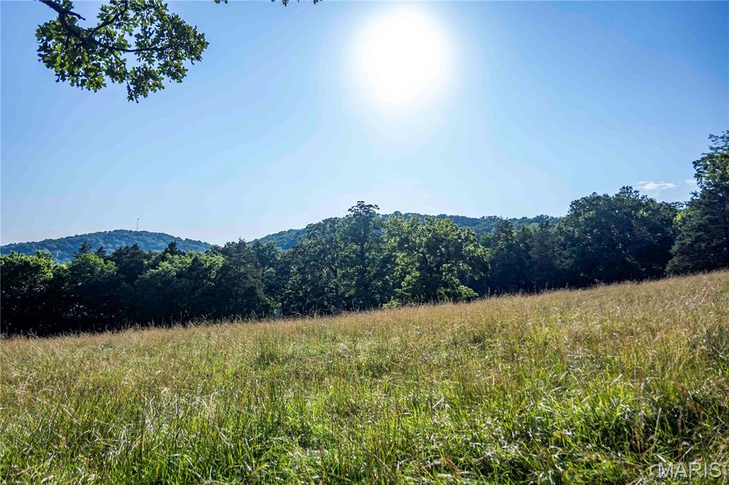 161 Van Booven Lane Hermann, MO 65041 - Photo 61 of 97