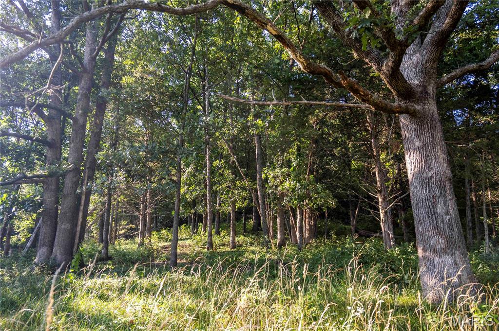 161 Van Booven Lane Hermann, MO 65041 - Photo 66 of 97