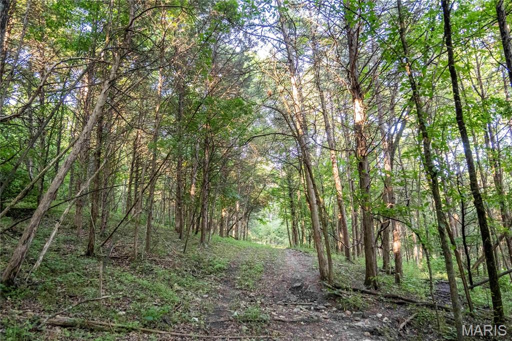 161 Van Booven Lane Hermann, MO 65041 - Photo 69 of 97