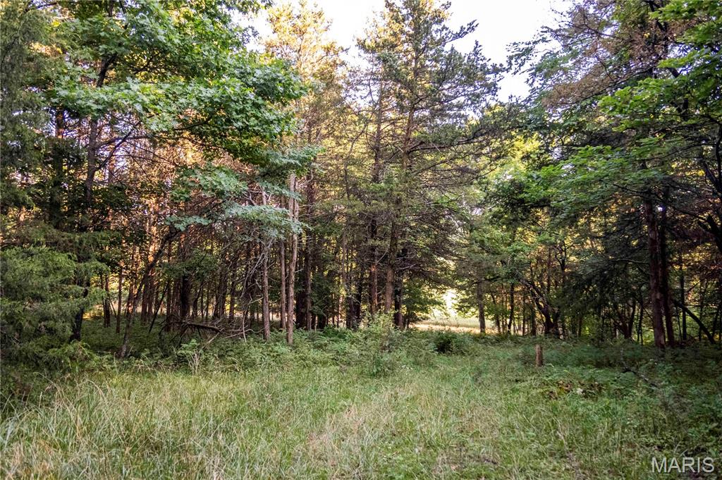 161 Van Booven Lane Hermann, MO 65041 - Photo 72 of 97