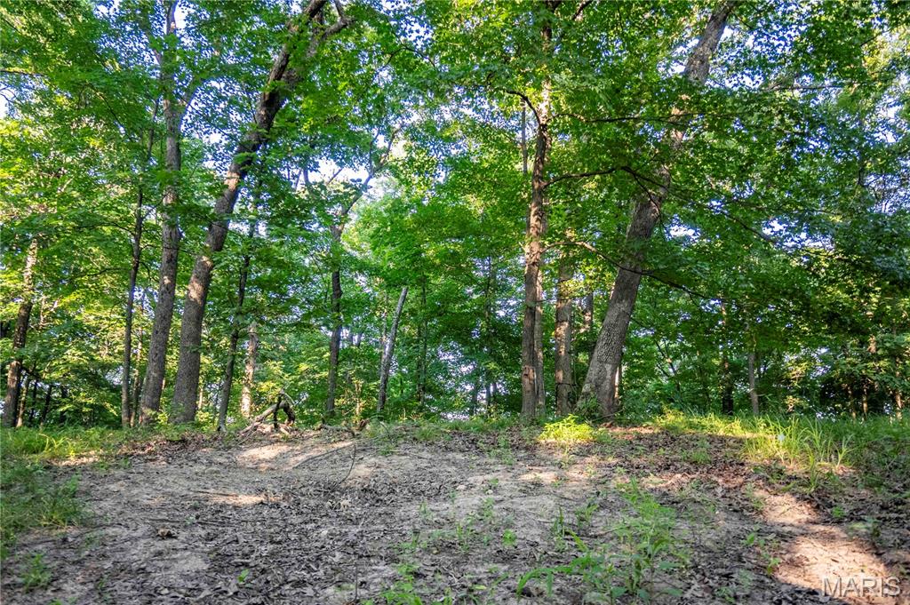 161 Van Booven Lane Hermann, MO 65041 - Photo 75 of 97