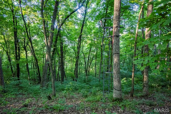 $1,500,000 | 161 Van Booven Lane, Hermann, MO 65041