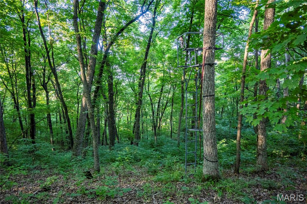 161 Van Booven Lane Hermann, MO 65041 - Photo 77 of 97