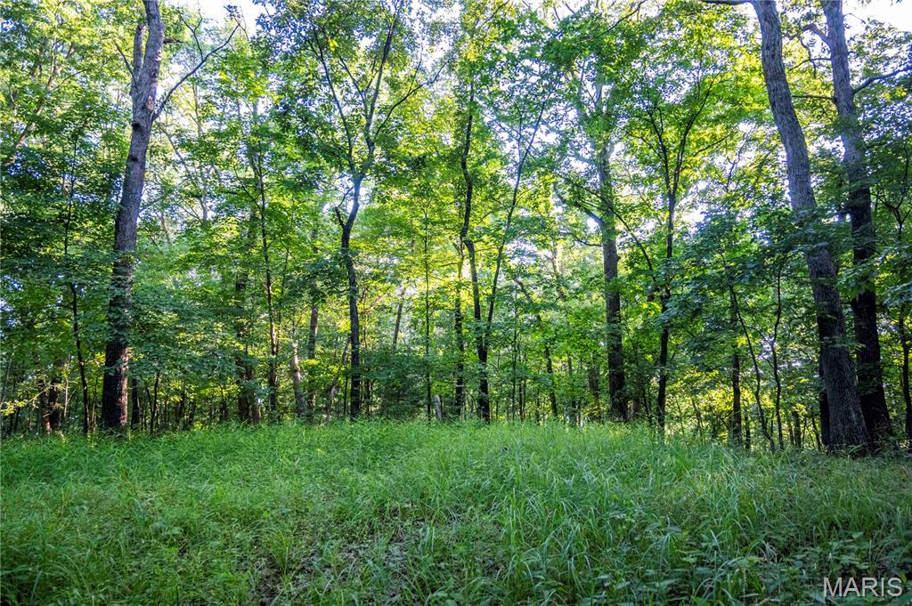 161 Van Booven Lane Hermann, MO 65041 - Photo 78 of 97