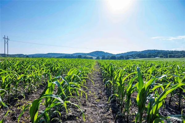 $1,500,000 | 161 Van Booven Lane, Hermann, MO 65041